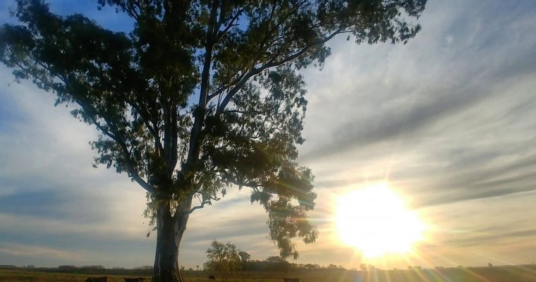 Día de la Independencia 2018