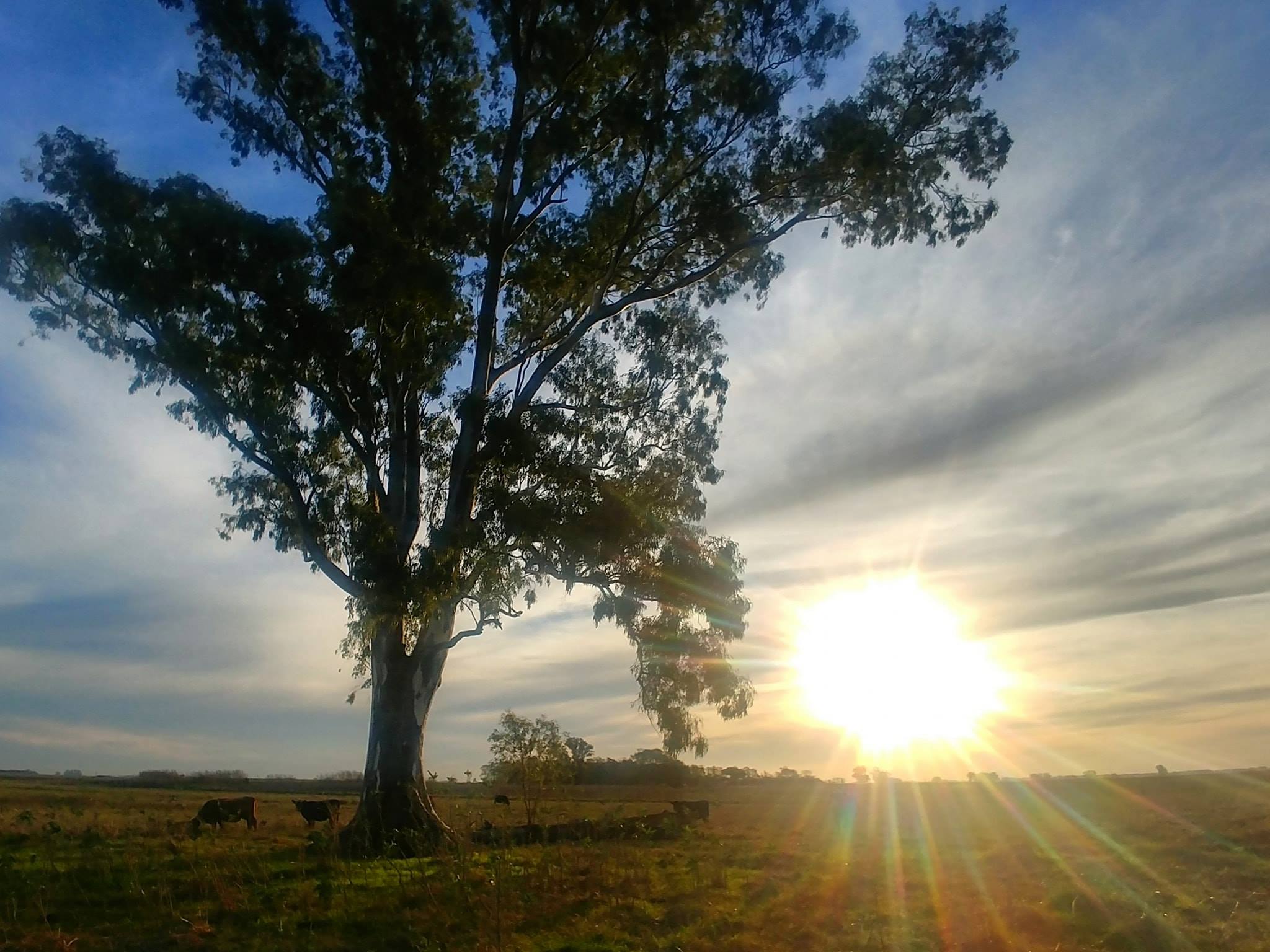 Día de la Independencia 2018